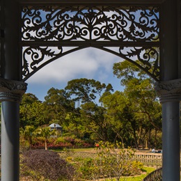 Views of the row of tall trees, the spacious green terrace and plantings of different colourful plants are framed by the lattice grille and columns of the gazebo, forming a picturesque scene.